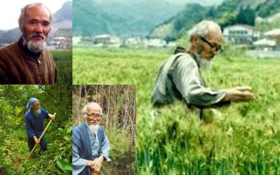 ¿Qué es la agricultura natural?. El método Fukuoka