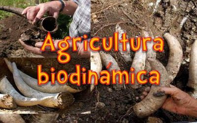 ¿Qué es la agricultura biodinámica?