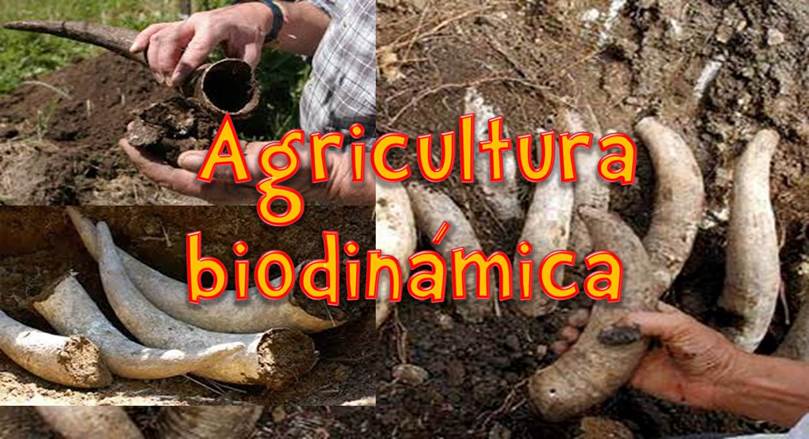 que es la agricultura biodinamica