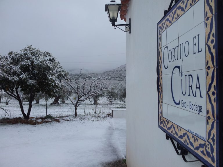 2013 02 28 09.52.14 768x576