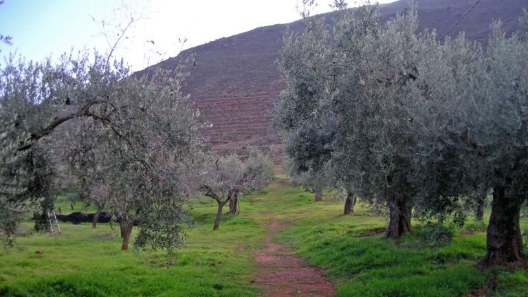 DSCN0399 edited 768x432